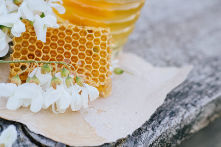 Honey Dipper , Honey Stick lies on piece of cut-off fresh honey in honeycombs. Acacia honey in gar...