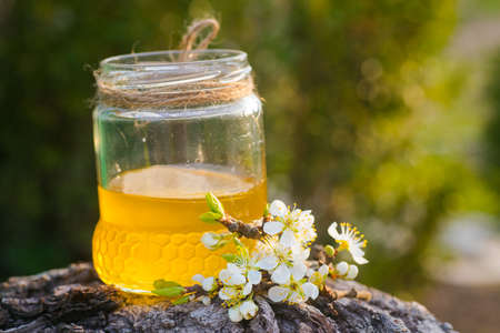 jar of liquid floral honey against background of trees. flowering plum branch near fresh honey. Healthy food concept. Savior of the Honey Feast Day. Selective focusの写真素材