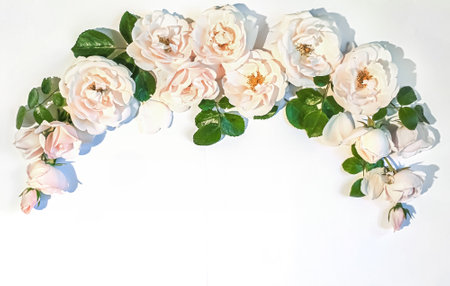 Flowers composition. Rose flowers on white background. Flat lay, top view, copy space. Background for Valentine's Day card. Border frameの写真素材