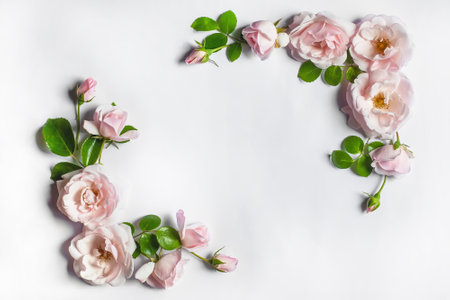 Flowers composition. Rose flowers on white background. Flat lay, top view, copy space. Background for Valentine's Day card. Border frameの写真素材