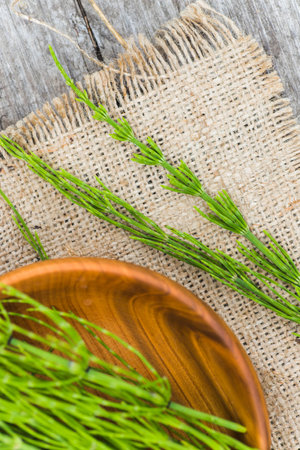 few twigs Equisetum arvense, field horsetail or common horsetail on wooden plate. Top view. Flat layの写真素材