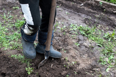 Legs in boots Dig grounf with shovel. earth day. Preparing Rich natural soil for planting seedlings...
