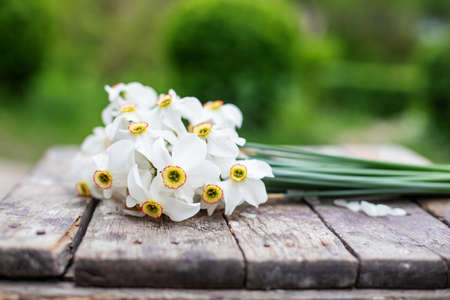 bouquet of daffodils on wooden table. mothers day gift or March 8. Pleasant surprise for women in spring. Fresh spring flowersの写真素材