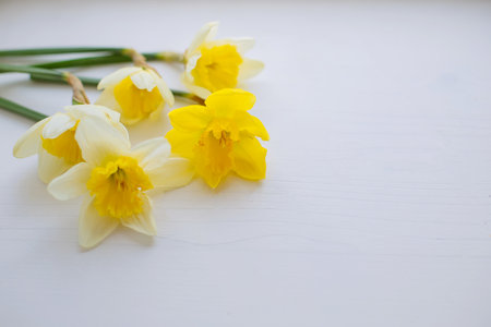 bouquet daffodils on white wooden background. Spring floral border, beautiful fresh yellow flowers. Backdrop with copy space, flat lay, top view. Easter Day, Woman day conceptの写真素材