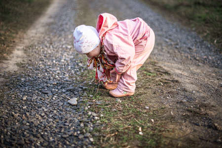 Dirt country roadの写真素材