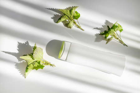 Bottle with a place for the label on a white background with trend shadows. Natural cosmetics from nettlesの写真素材