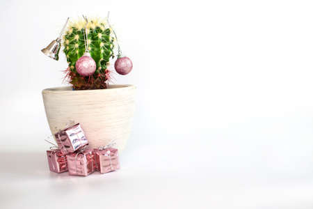 Tropical summer cactus looks like Christmas tree with Christmas toys balls and gifts. copy space .. New Year's banner isolated on white background. Minimal Christmas theme. New year sale conceptの写真素材