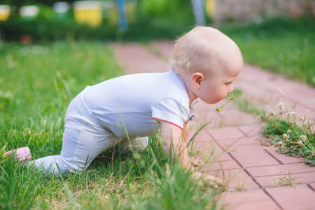 The baby crawls on the green grass. Kid in white clothes in outdoor learns to crawl. Toddler walks in backyard of home in the summerの写真素材
