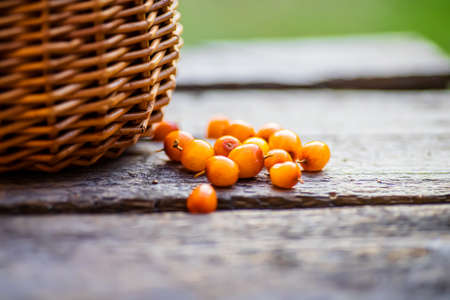 buckthorns of berries are scattered on a wooden table of a basketの写真素材