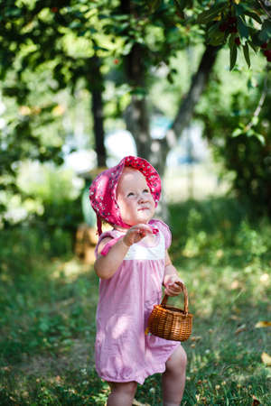 A happy child runs among the cherry trees. girl picks fresh cherry berry in garden during the harvest in summerの写真素材