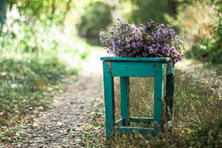 Bouquet Aster alpinus, alpine aster or blue alpine daisy Herbstgruss vom Bresserhof against the background of autumn landscape on stool on rural roadの写真素材