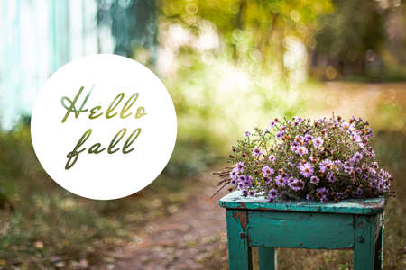 Text Hello Fall. Bouquet Aster alpinus, alpine aster or blue alpine daisy Herbstgruss vom Bresserhof against the background of autumn landscape on stool on rural roadの写真素材