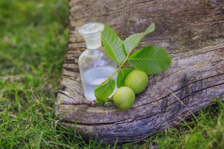 branch with two unripe green walnuts with leaves for preparation of medicines and tinctures. clear bottle with elixir cork. bottle of medicine on stump in forest on background of green grass. Collection of herbs in season.の写真素材