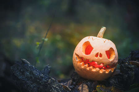 Jack O Lantern, with an evil face. spooky pumpkin for halloween on a fallen tree in the forest on a foggy gray night background. Mysterious misty Halloween evening background. Copy space.の写真素材