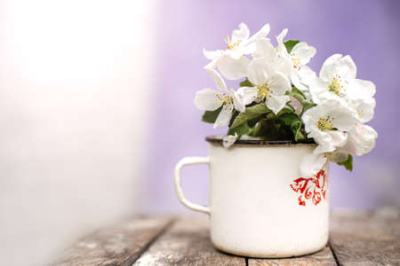 Still life with cup and bouquet of branches with apple blossoms. White petals of flowering trees that fell on concrete.の写真素材