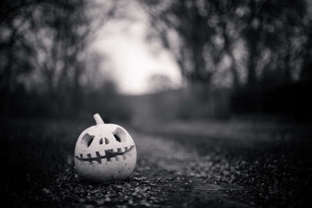 Pumpkin with carved eyes and mouth on road against background of trees. Decor for Halloween. Scary forest. Black-and-white toningの写真素材
