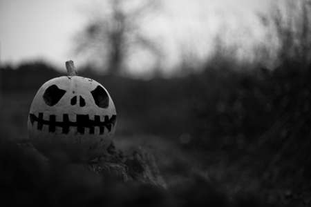 Pumpkin with carved eyes and mouth on the stump. Decor for Halloween. Scary forest. Black-and-white toningの写真素材