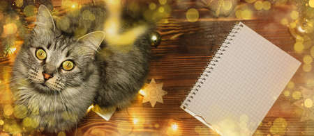 Cat looks up amid Christmas lights. Cat on table with tools for packing gifts for new year 2021の写真素材