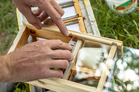 Beekeeper holding a small Nucleus with a young queen bee. Breeding of queen bees. Beehives with...