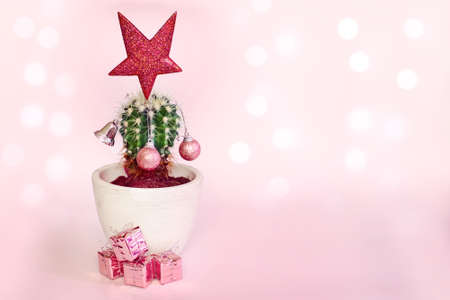 cactus decorated tree as Christmas tree in pot of gifts. Colors of year 2022. pacific pink color. New Year's Eve Backgroundの写真素材