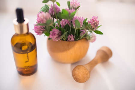 Clover or trefoil flower medicinal herbs. Red clover Flowers collected in meadow in a wooden mortar. Preparation of elixirs or medicines from medicinal herbs by herbalists.の写真素材