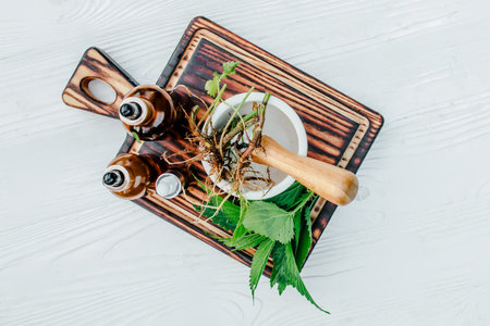 Fresh common nettle, stinging nettle or nettle leaf, or just a nettle root in ceramic mortar and...