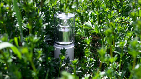White unbranded dispenser bottle in meadow of flowers Galium aparine cleavers, clivers, goosegrass sticky willy, stickyjack, stickeljack, grip grass. MockUp bottle of shampooの写真素材