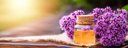 Oregano, Collect valuable flowers Origanum vulgare from moment of flowering, and start drying. Decoction of sweet marjoram and infusion in bottle. alternative medicine. Herbal concept. Soft focusの写真素材