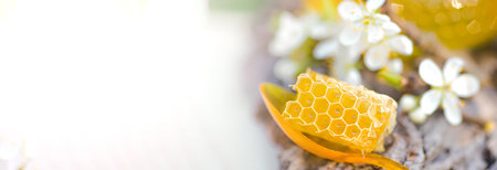 Honey Dipper Banner, Honey Stick lies on piece of cut-off fresh honey in honeycombs. Acacia honey in gar on wooden background. spring mood. selective focusの写真素材