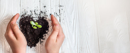 Soil shaped into heart symbol with hands on white wooden background. ecology concept. Earth day concept. nurturing baby plantの写真素材