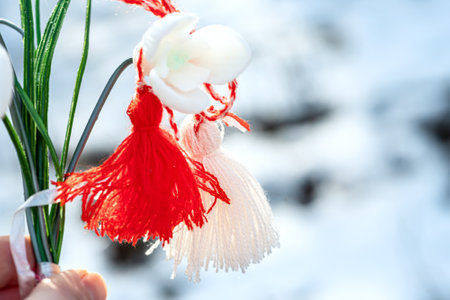 Delicate spring flowers snowdrops with white and red Bulgarian symbol of spring martisor. Baba Marta Day. Wallpaper of spring flowers and martenitsa.の写真素材