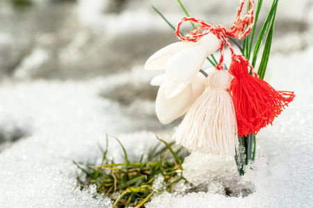 Snowdrops flowers with a red-white bow made of rope on a snow backgroundの写真素材