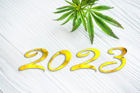 Cannabis leaf on white. Hemp plant in a basket on a white wooden table. 2023. The Coming Year with...