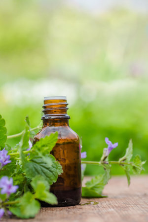 pharmaceutical bottle of medicine Glechoma hederacea, Nepeta hederacea, ground-ivy, catsfoot, field balm, and run-away-robin, creeping jenny on green background. Ethnoscience.の写真素材