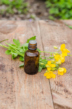 pharmaceutical bottle of medicine from flowers of Chelidonium majus, celandine, nipplewort, swallowwort, tetterwort on wooden table. Preparation medicinal plants. Ready potion of grass. ethnoscience.の写真素材