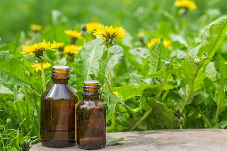 pharmaceutical bottle of medicine in grass against background of blooming yellow flower Taraxacum officinale, or dandelions . Preparation of medicinal plants. Ready potion of grass.の写真素材