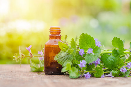 pharmaceutical bottle of medicine from Glechoma hederacea, Nepeta glechoma Benth., Nepeta hederacea, ground-ivy, gill-over-the-ground, creeping charlie, alehoof, tunhoof, catsfoot, field balm, and run-away-robin, creeping jenny next to a bunch on green background. Preparation of medicinal plants. Ready potion of grass. Ethnoscience.の写真素材
