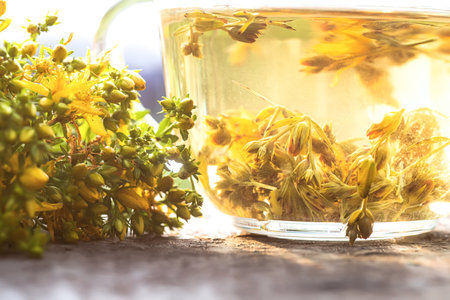 bunch of fresh flowering medicinal grass of St. Johns wort near cup with tincture of St. Johns wort. Transparent checker with brewed St. Johns wort.の写真素材