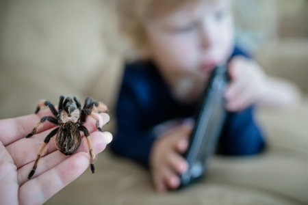 Mom caught a huge tarantula spider crawling past a child playing with a mobile phone. Arachnophobiaの写真素材