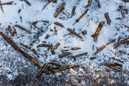 Wooden sticks froze into the snow. The first snow on the frozen ground. winter backgroundの写真素材