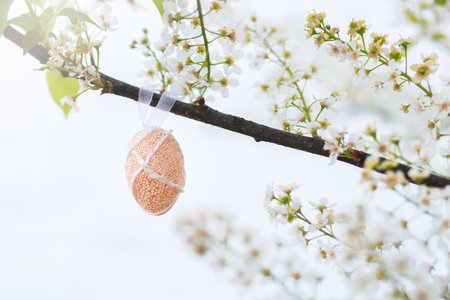 Pink colored Easter egg on a tree branch with white flowers. Celebration of Easter. Easter card with bird cherry flowersの写真素材