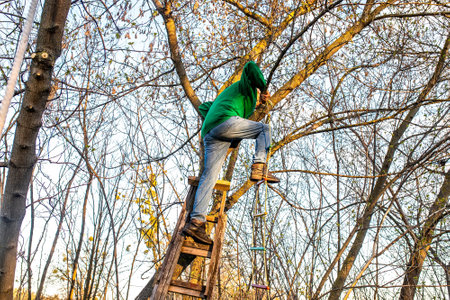 The man climbed a tree. Construction of a playground near the houseの写真素材