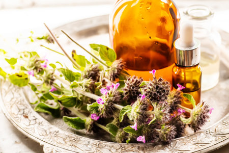 Still life with a bouquet of flowering Clinopodium vulgare, wild basil on an old vintage windowsill with wooden framesの写真素材