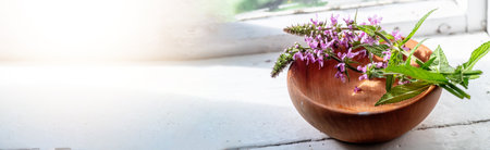 Banner Stachys palustris, marsh woundwort, clown's woundwort, clown's heal-all, marsh hedgenettle, or hedge-nettle,on a wooden plate and pharmacy bottles. Preparation for the preparation of elixirs and tinctures in a wooden mortar of herbalistsの写真素材