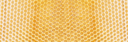 Honeycombs