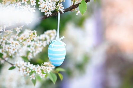 Embodiment of new life and freshness, painted Easter egg in branch of Prunus padus, bird cherry, hackberry, hagberry, or Mayday tree. Fun celebration of Easter.の写真素材