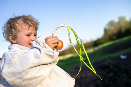 Leafy vegetable green onions in hands of a child planting plants on a farm for growing seedlings on...