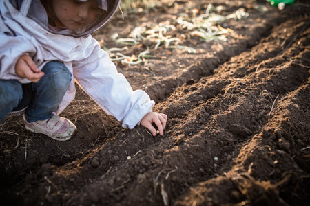 Young farmer-to-be, learning of cultivation and horticulture. plant and tend to growth of healthy, nutritious vegetables in familys field.の写真素材