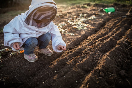 Beauty of nature and joys of gardening. child nurtures growth of fresh, organic peas in fertile soil of garden.の写真素材