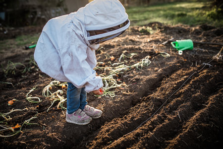 Pleasure of raising and cultivating fresh, healthy vegetables. Small girl sows seeds of spring garden on warm, sunny day.の写真素材